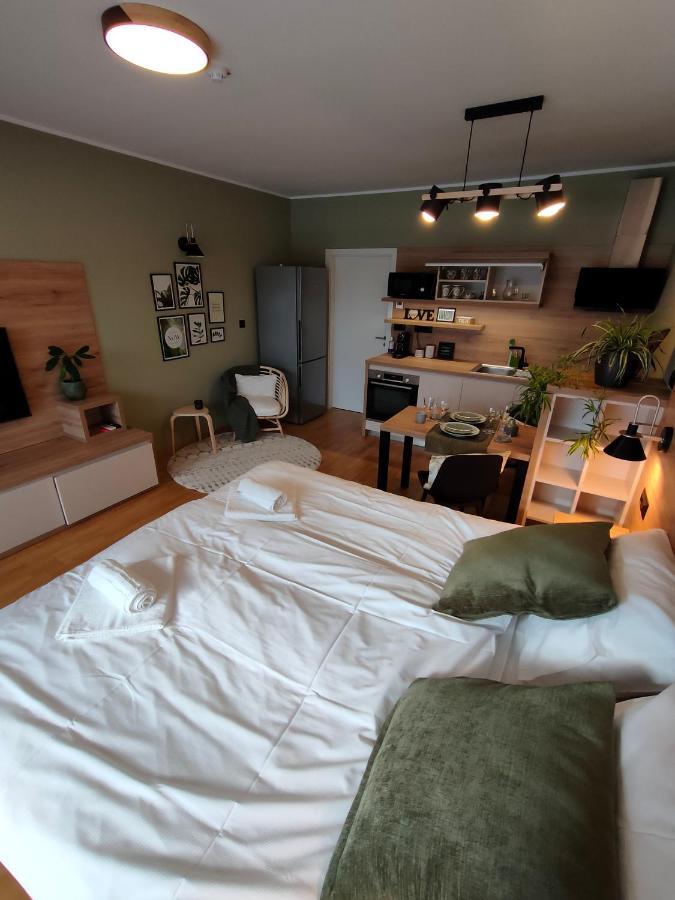 Bed & Breakfast Rezidenca Pipanova Любляна Экстерьер фото